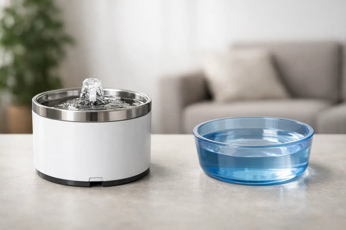 Fonte elétrica vs pote de água: qual vale mais?
