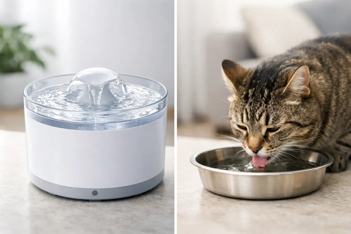Fonte de água vs pote para gato