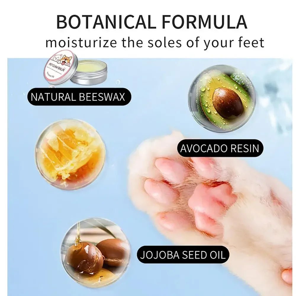 Bálsamo Hidratante para Patas e Focinho de Cães e Gatos – 50g | Proteção, Hidratação e Reparação Contra Rachaduras