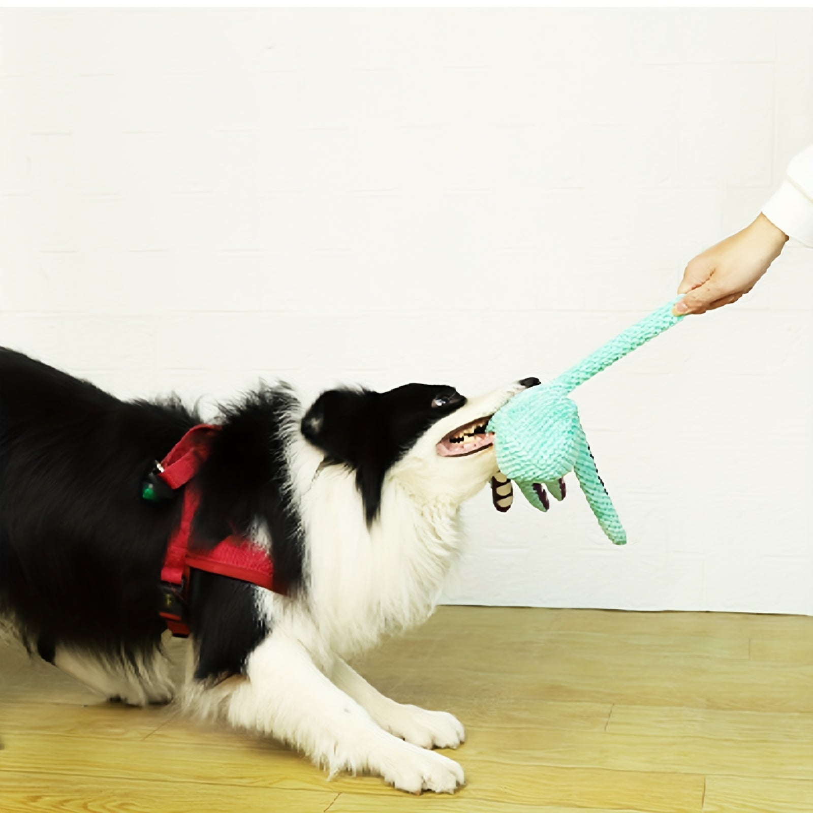 Polvo de brinquedo para pets cores vibrantes laranja e roxo com olhos bordados (sem peças soltas)