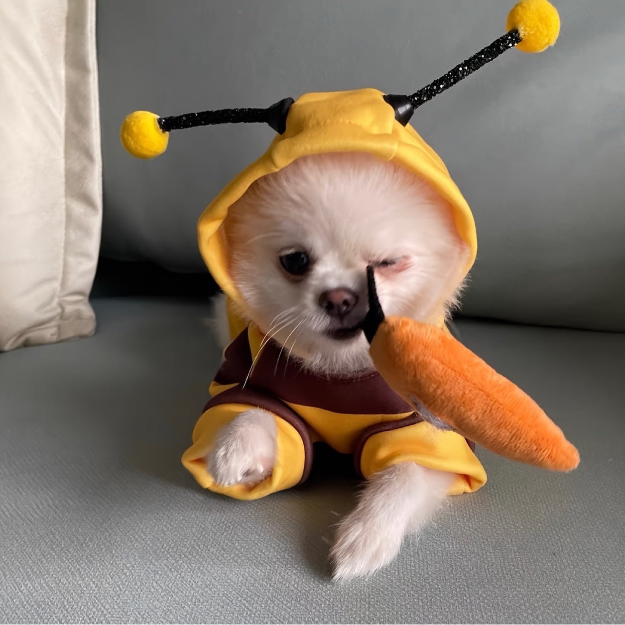 Fantasia de Abelhinha para Pets – Fofa e Confortável