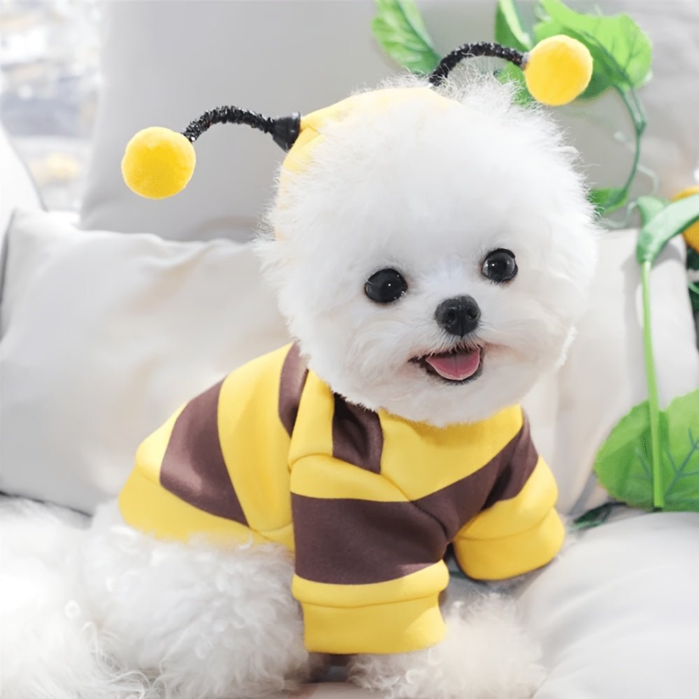 Fantasia de Abelhinha para Pets – Fofa e Confortável
