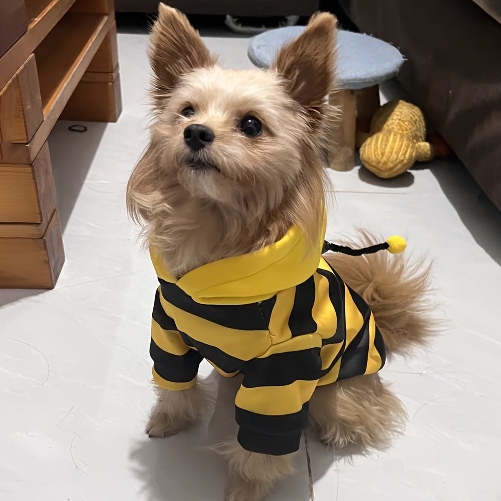 Fantasia de Abelhinha para Pets – Fofa e Confortável