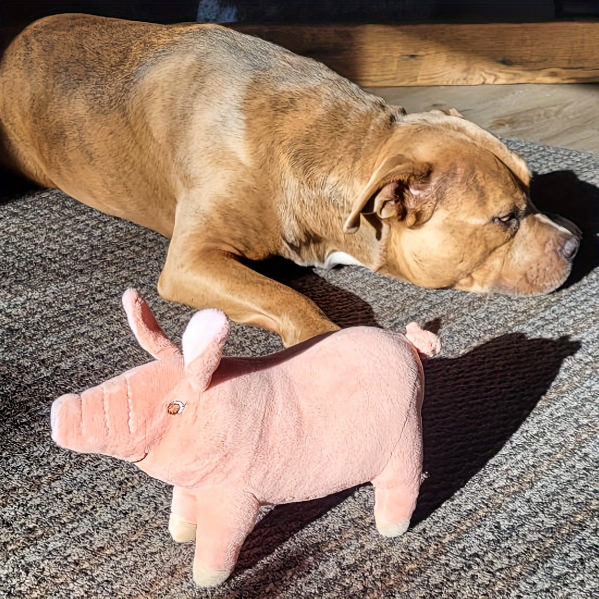 Brinquedo de Pelúcia Porquinho para Cães