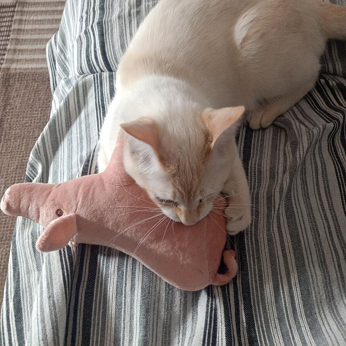 Brinquedo de Pelúcia Porquinho para Cães