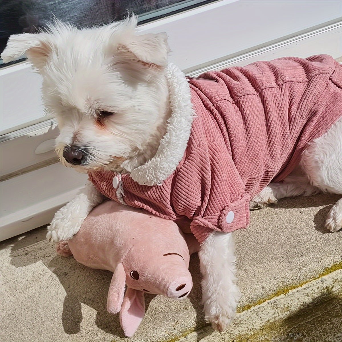Brinquedo de Pelúcia Porquinho para Cães