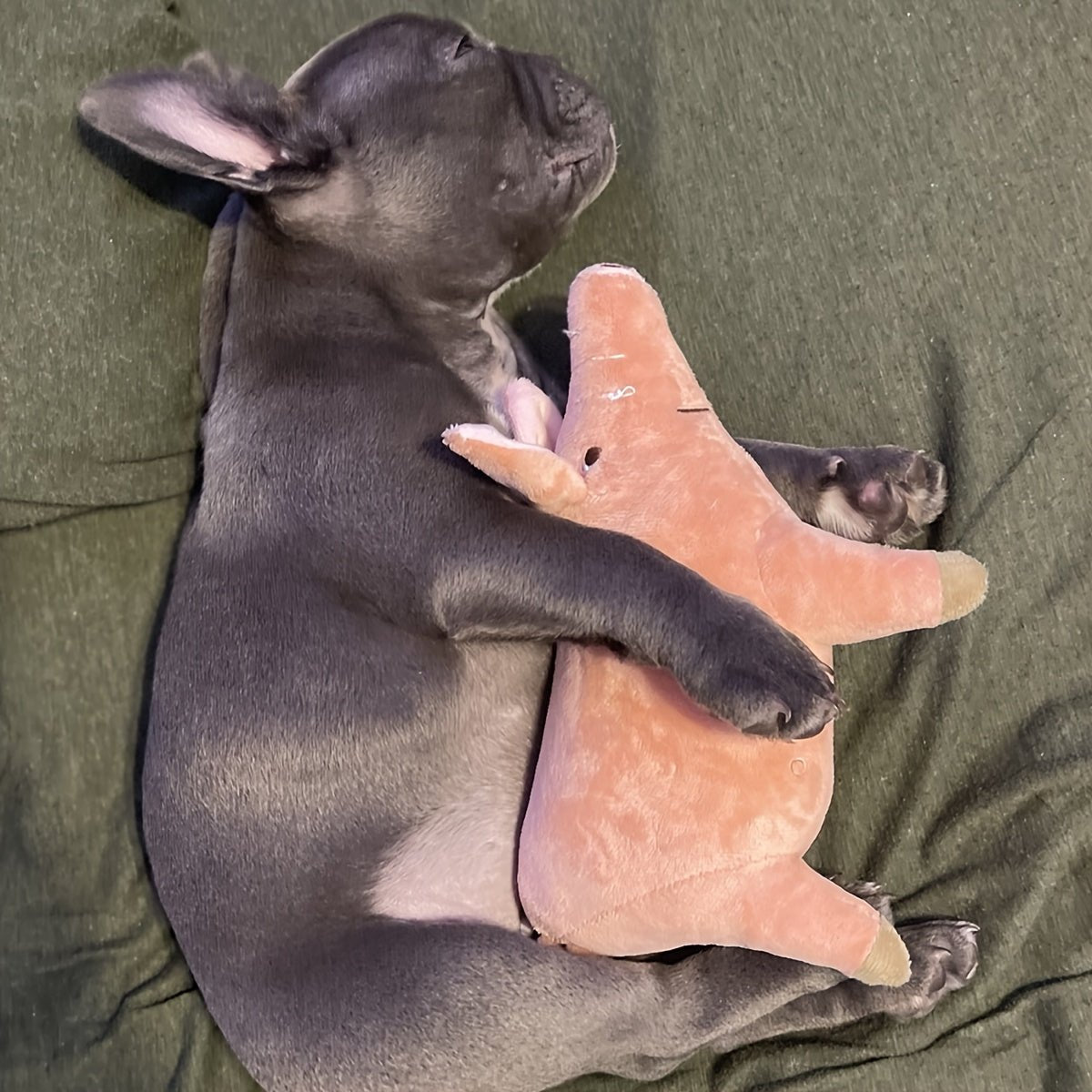 Brinquedo de Pelúcia Porquinho para Cães