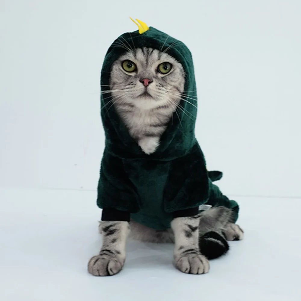 Fantasia de Dinossauro para Gatos e Cães Pequenos