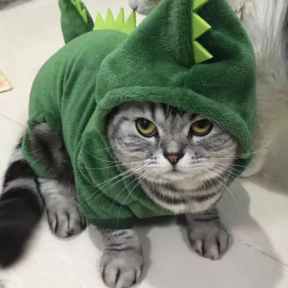 Fantasia de Dinossauro para Gatos e Cães Pequenos