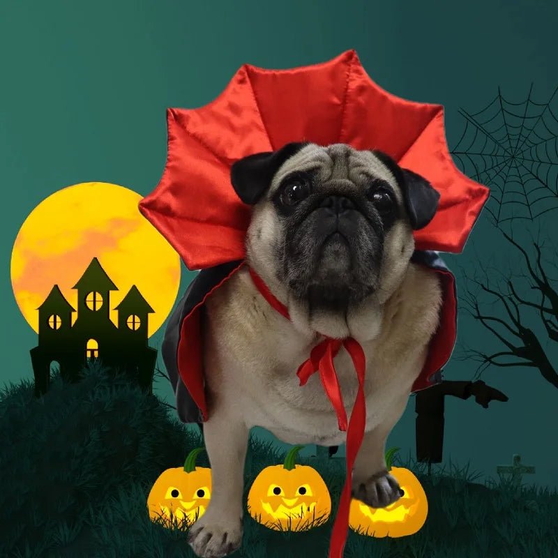 Fantasia de Drácula para Cães e Gatos