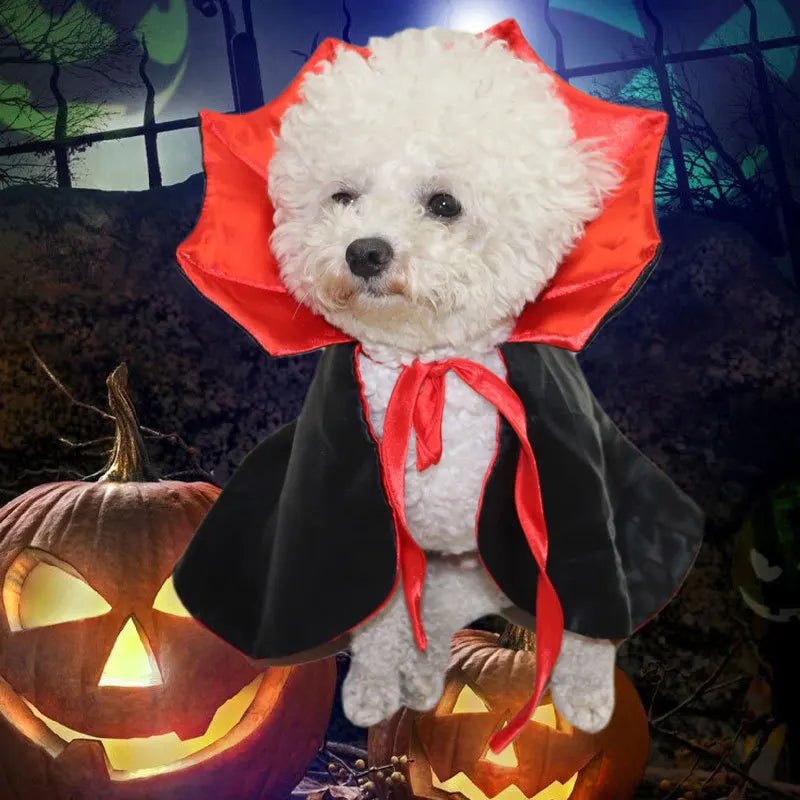 Fantasia de Drácula para Cães e Gatos