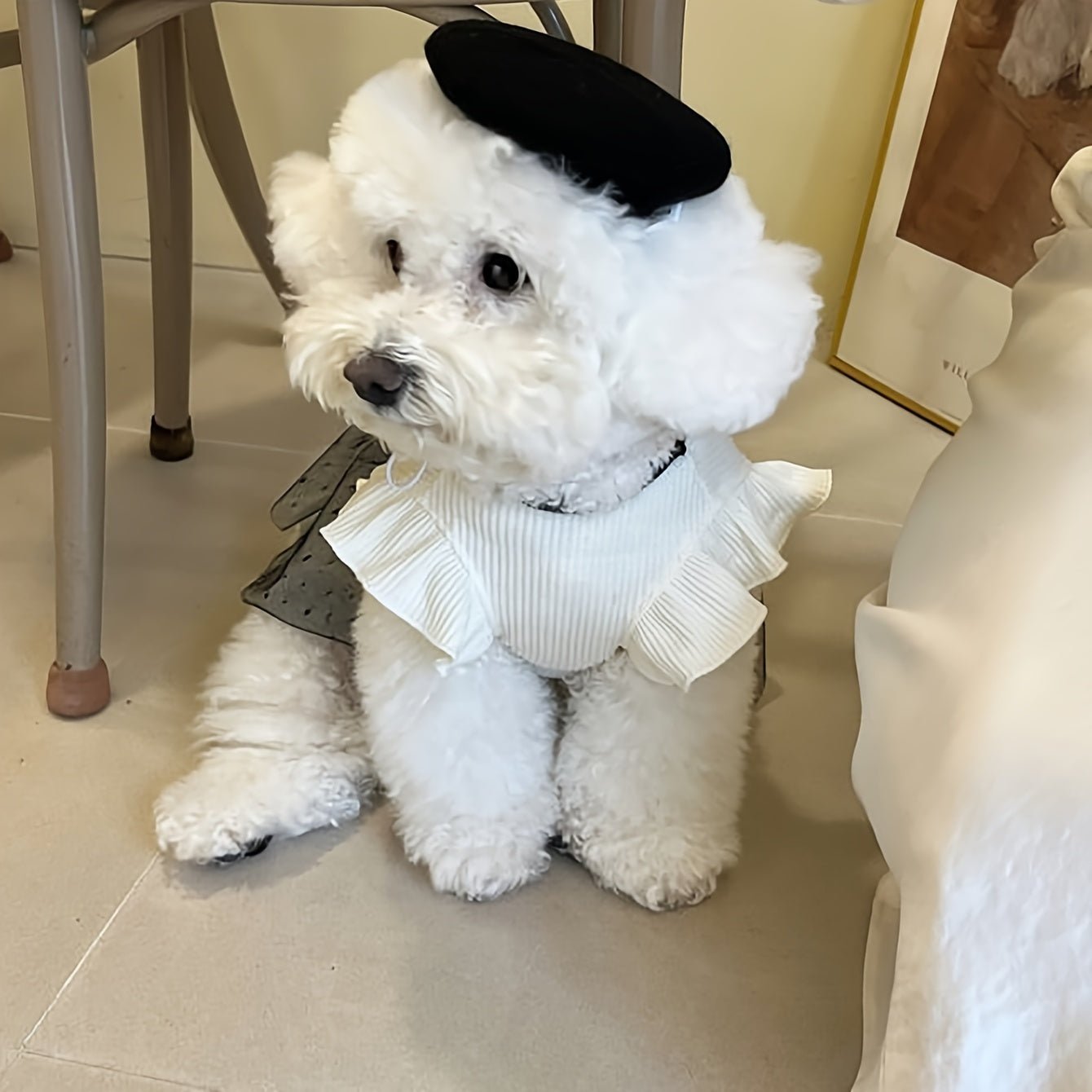 Vestido Elegante para Cachorrinha Pequena