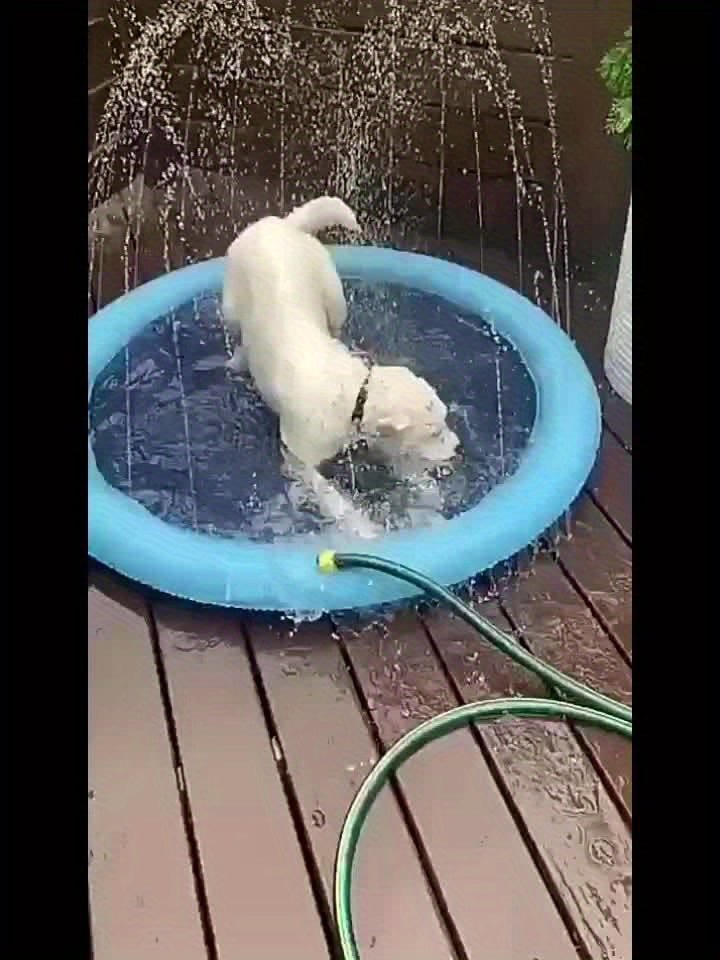 Piscina Dobrável para Pets – Feita em PVC Super Resistente!