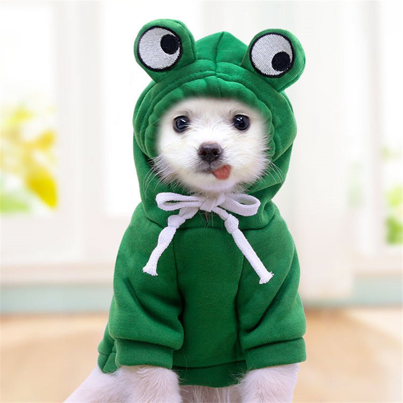 Moletom de Sapinho para Cachorro e Gato 🐸 | Quentinho, Fofinho e Irresistível