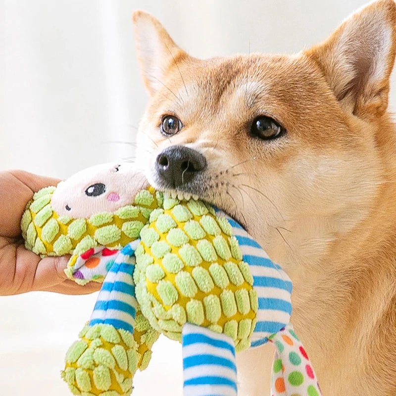 Brinquedo de Pelinho com Apito para Cachorro