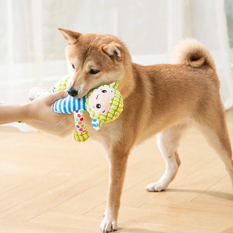 Brinquedo de Pelinho com Apito para Cachorro