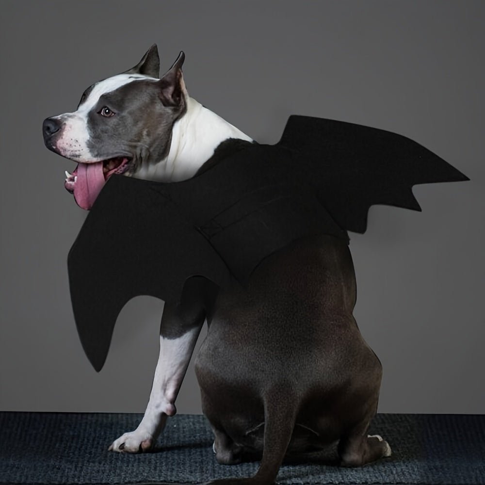 Fantasia de Morcego para Pet