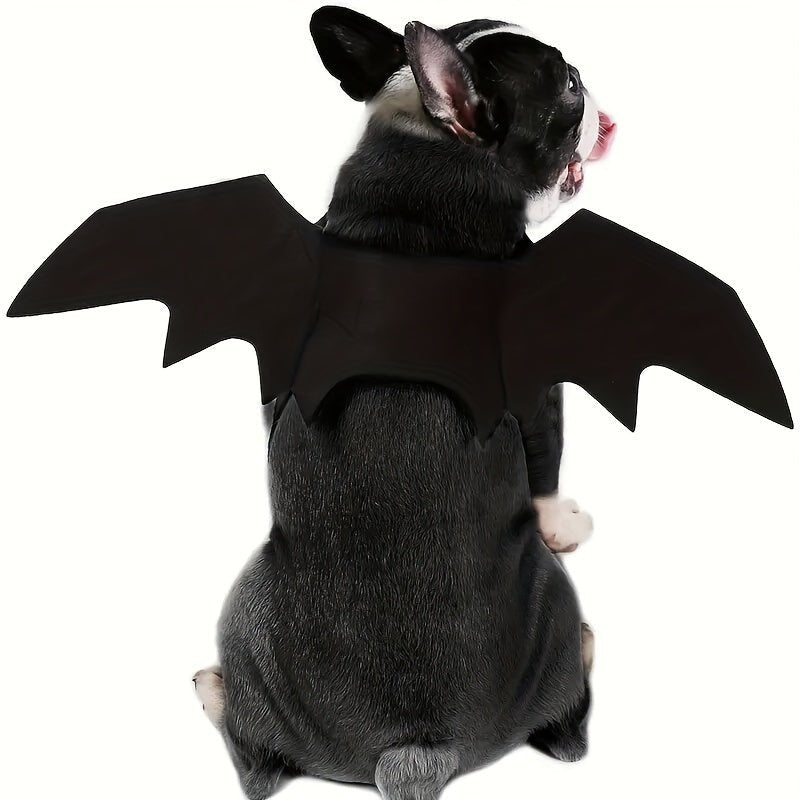 Fantasia de Halloween para animais de estimação - Asas de morcego para seu amigo peludo