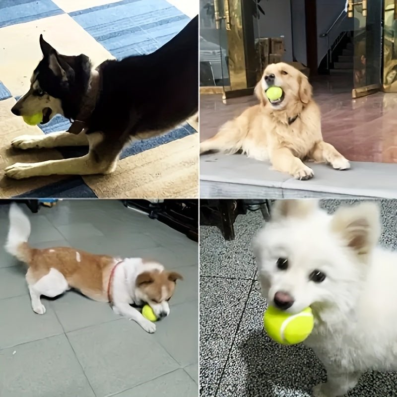 Brinquedo interativo lançador de bolas para cães