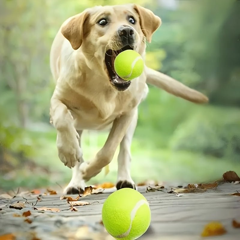 Brinquedo interativo lançador de bolas para cães