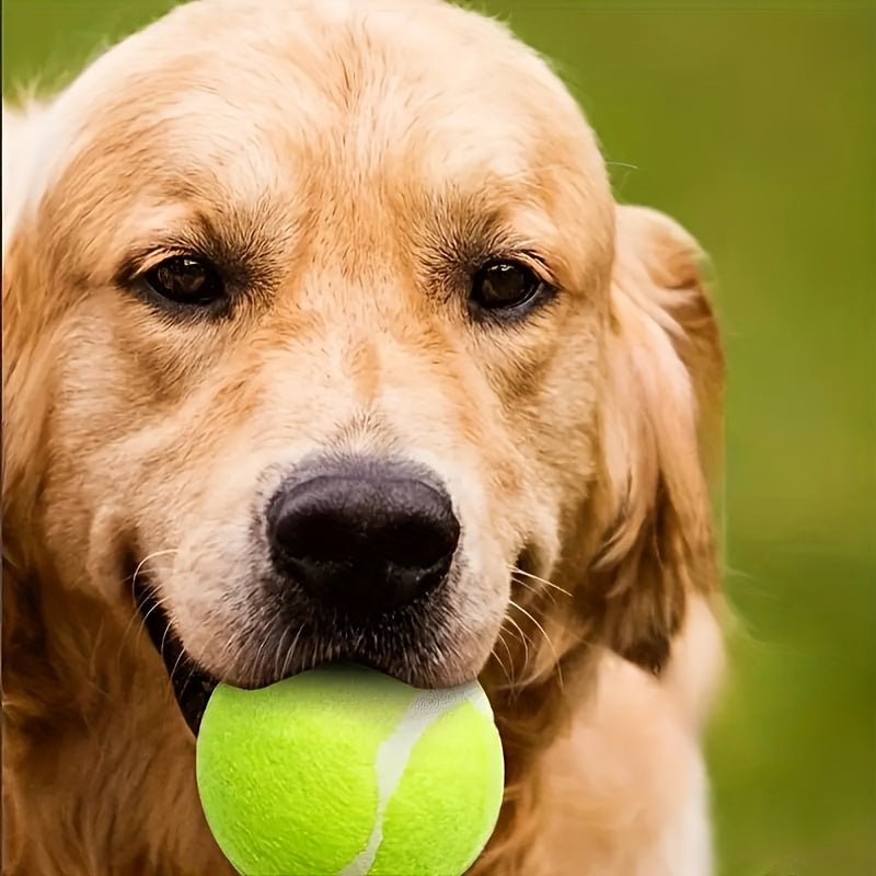 Brinquedo interativo lançador de bolas para cães