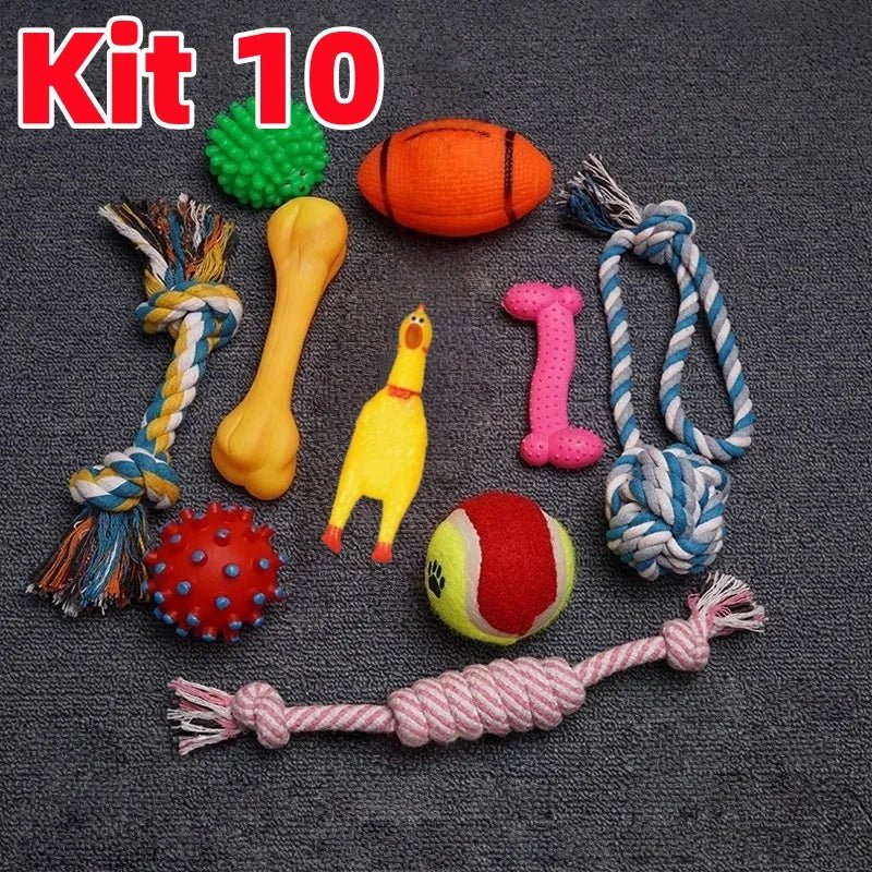 Leve Mais, Pague Bem Menos 🐶 | Kit Promocional com 6 ou 10 Brinquedos Incríveis para Cachorros