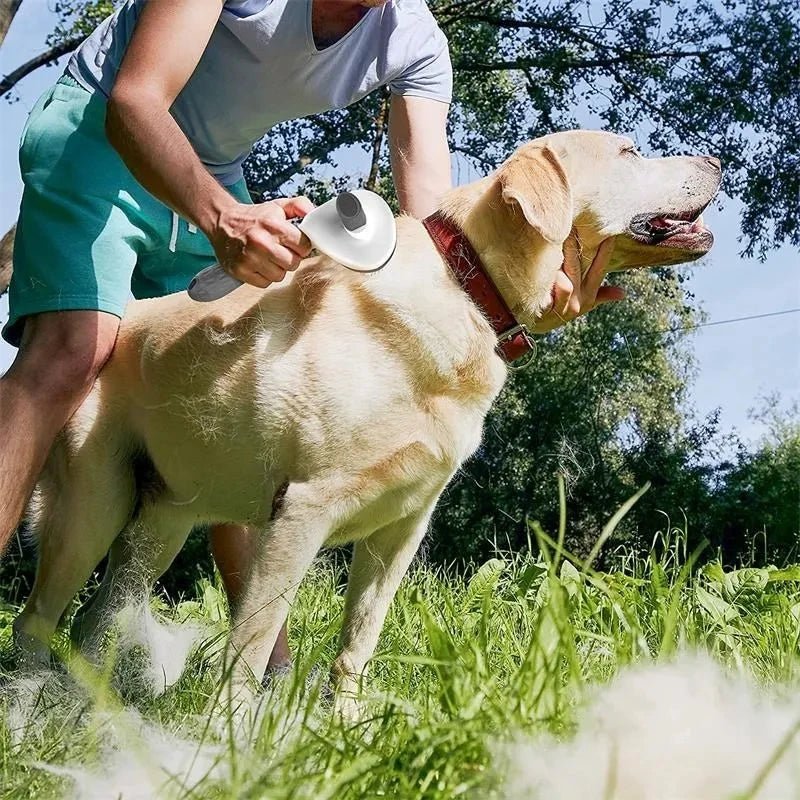 Escova Mágica para o Seu Pet