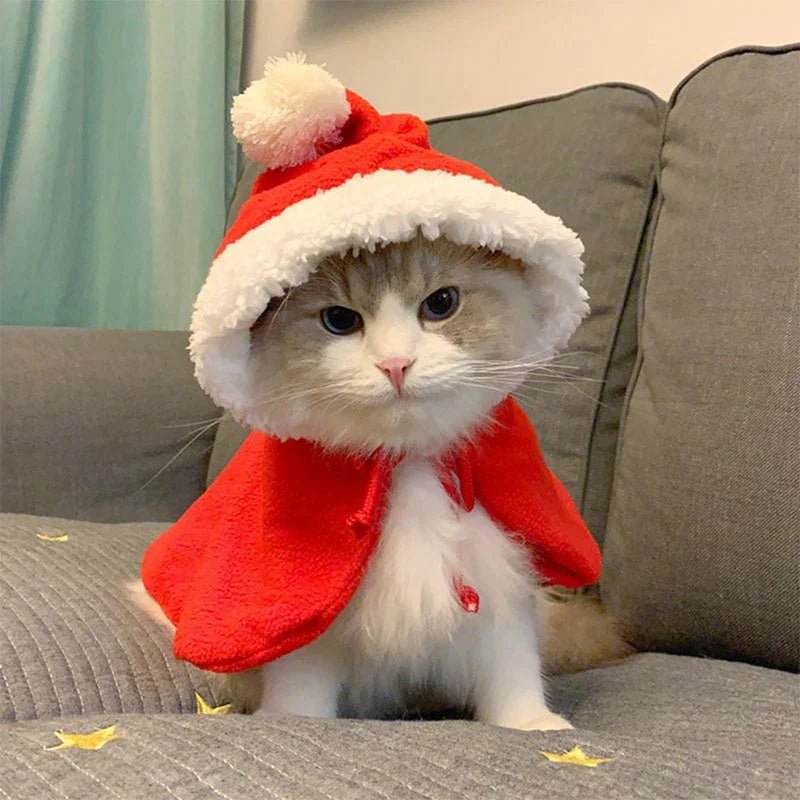 Fantasia de Natal Divertida para Cães e Gatos