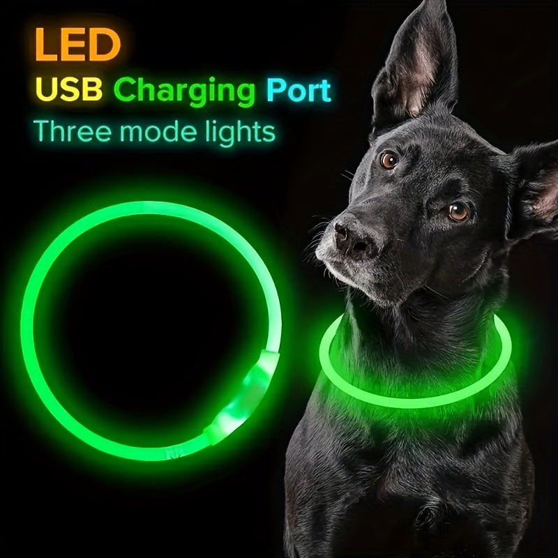 Coleira LED Recarregável para Passeio Noturno