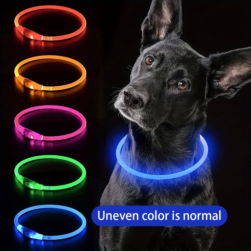 Coleira LED Recarregável para Passeio Noturno