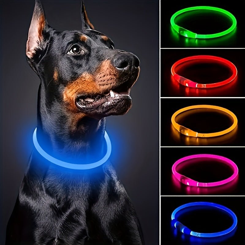 Coleira LED Recarregável para Passeio Noturno
