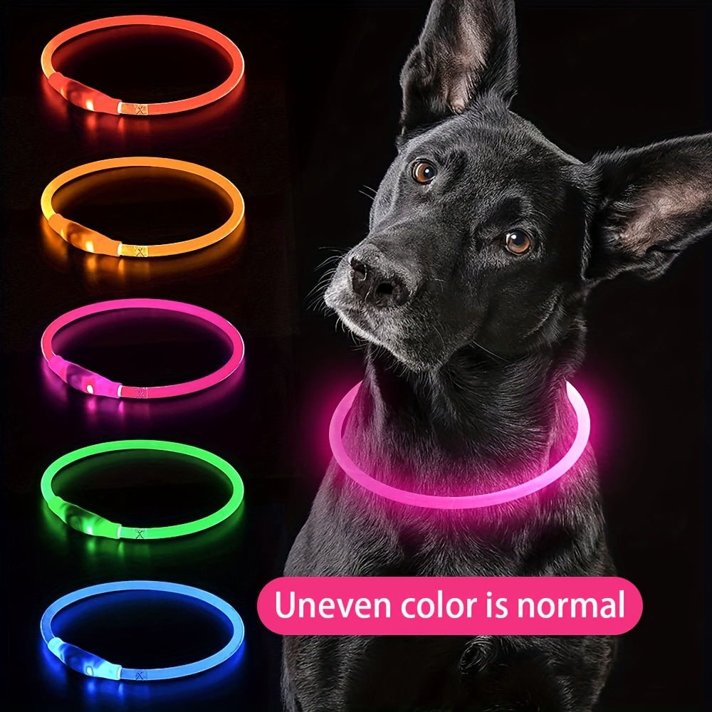 Coleira LED Recarregável para Passeio Noturno