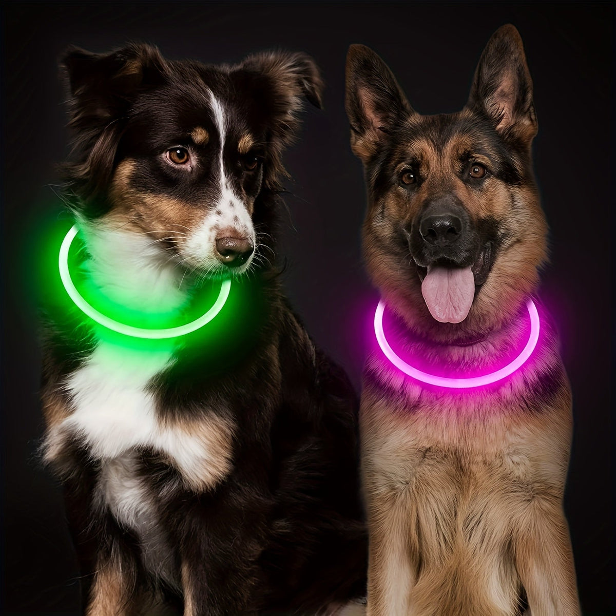Coleira LED Recarregável para Passeio Noturno