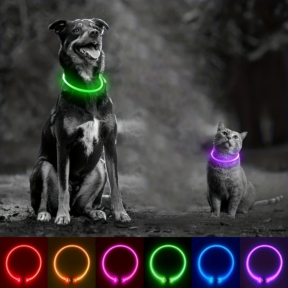 Coleira LED Recarregável para Passeio Noturno