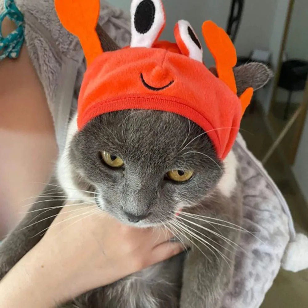 Chapelinho Fantasia de Caranguejo, Lagosta e Sapo para Pet