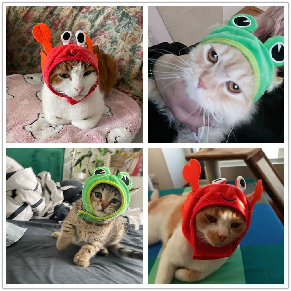 Chapelinho Fantasia de Caranguejo, Lagosta e Sapo para Pet
