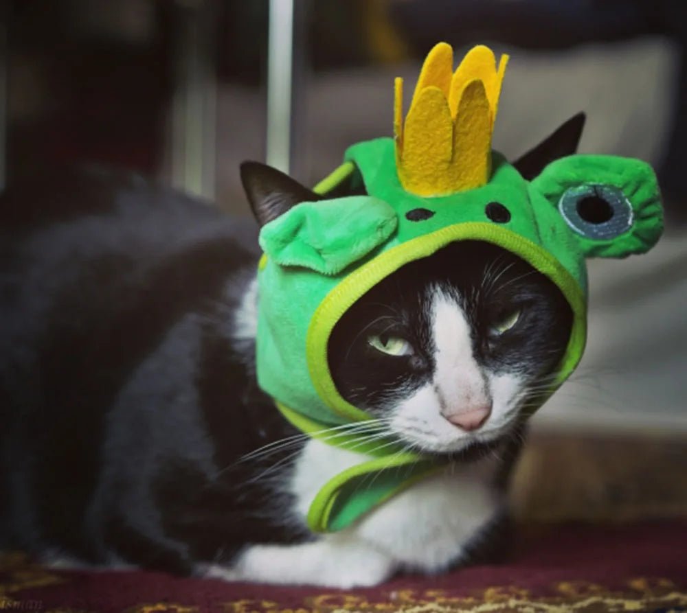 Chapelinho Fantasia de Caranguejo, Lagosta e Sapo para Pet
