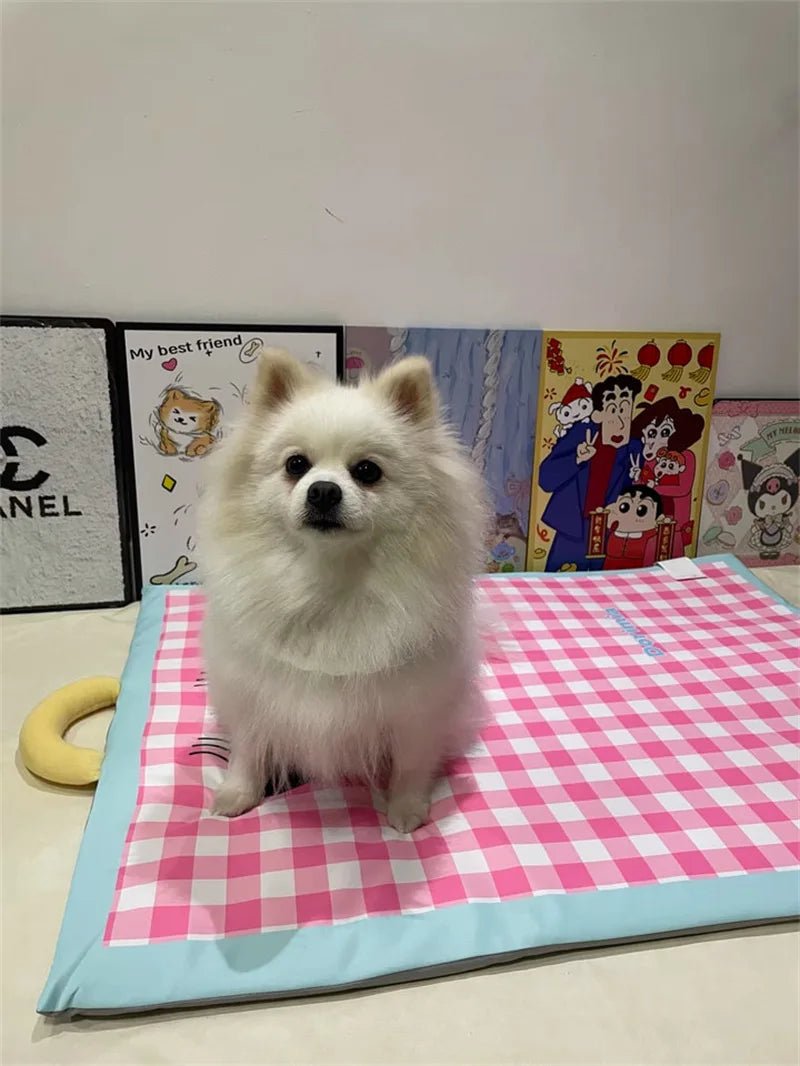 Operação Pata Fresca – Ice Pad Xadrez