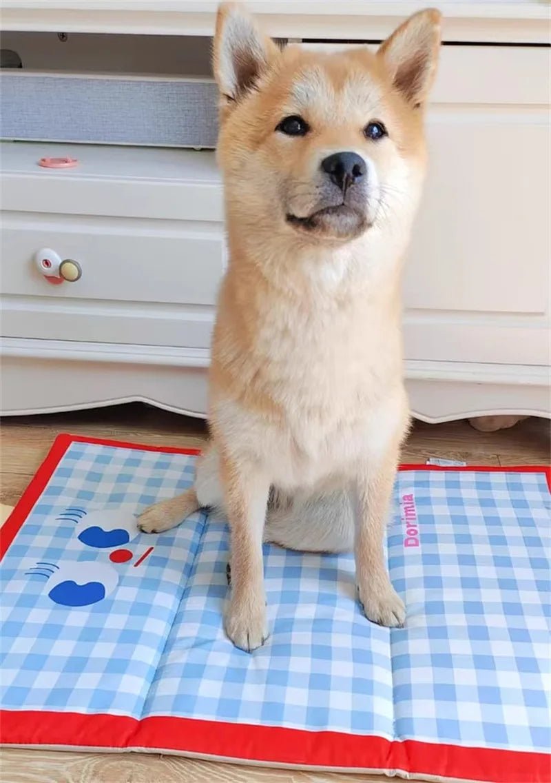 Operação Pata Fresca – Ice Pad Xadrez