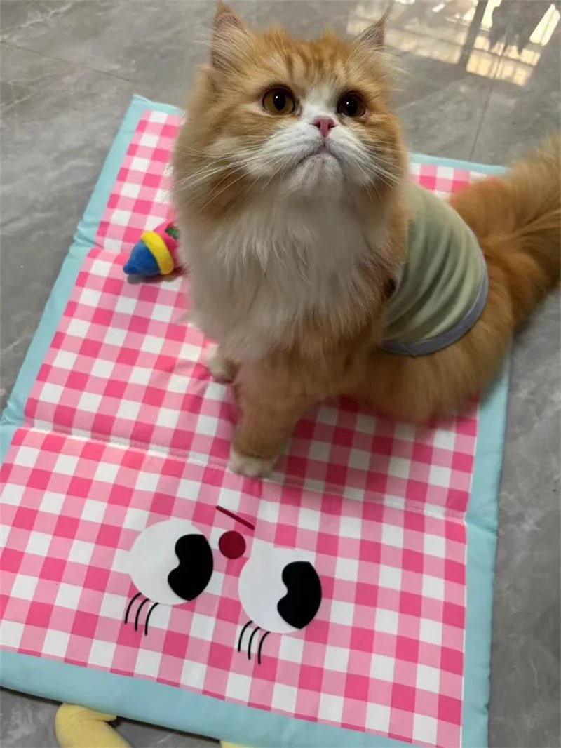 Operação Pata Fresca – Ice Pad Xadrez