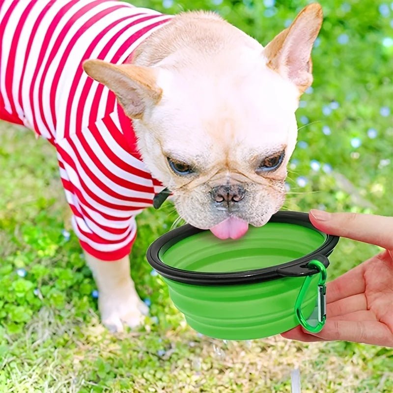 Tigela Portátil de Água e Ração para Pets