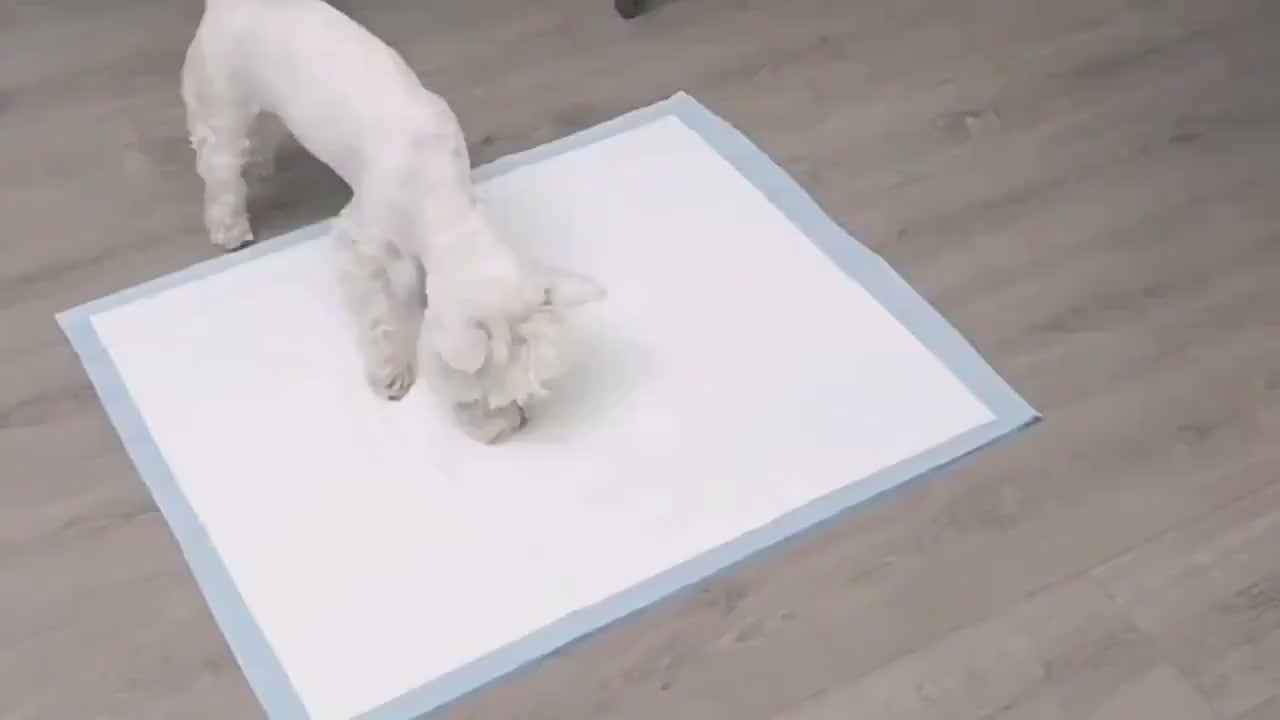 Tapete Higiênico Premium Ultra Absorvente para Pets – Antiodor e Extra Grosso