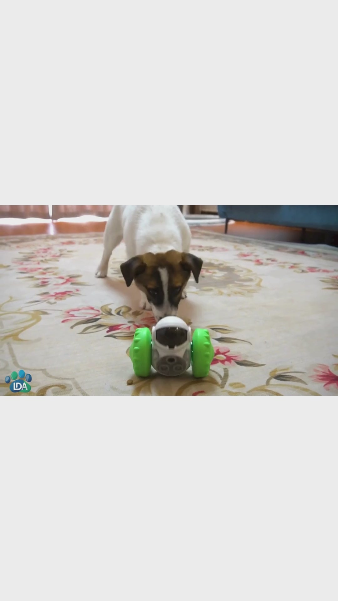 Brinquedo de Alto Entretenimento para o Seu Pet