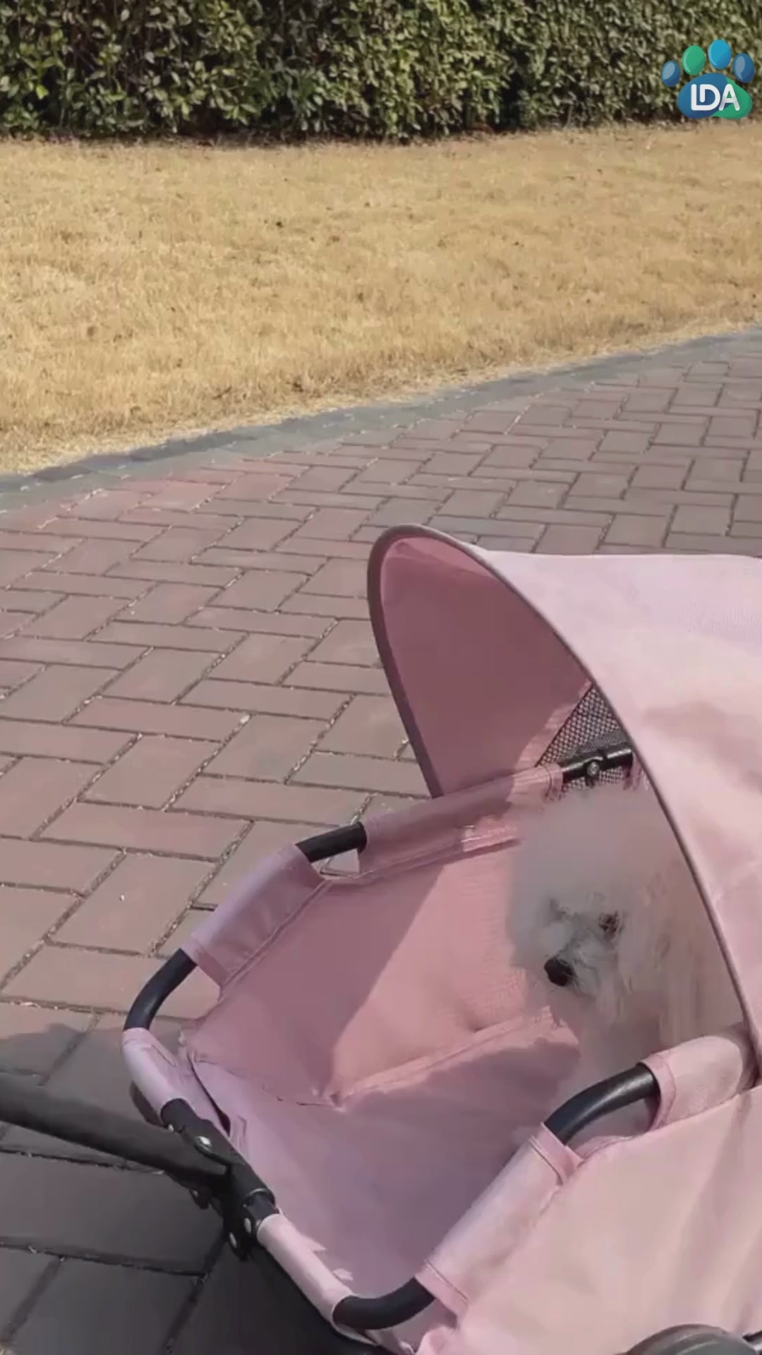 Carrinho Pet Dobrável e Leve p/ Cães e Gatos