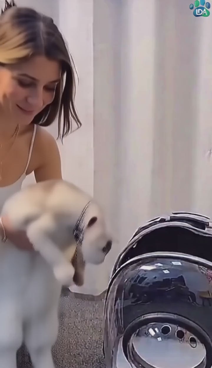 Mochila Transportadora Transparente Panorâmica para Cães ou Gatos – Conforto e Aventura