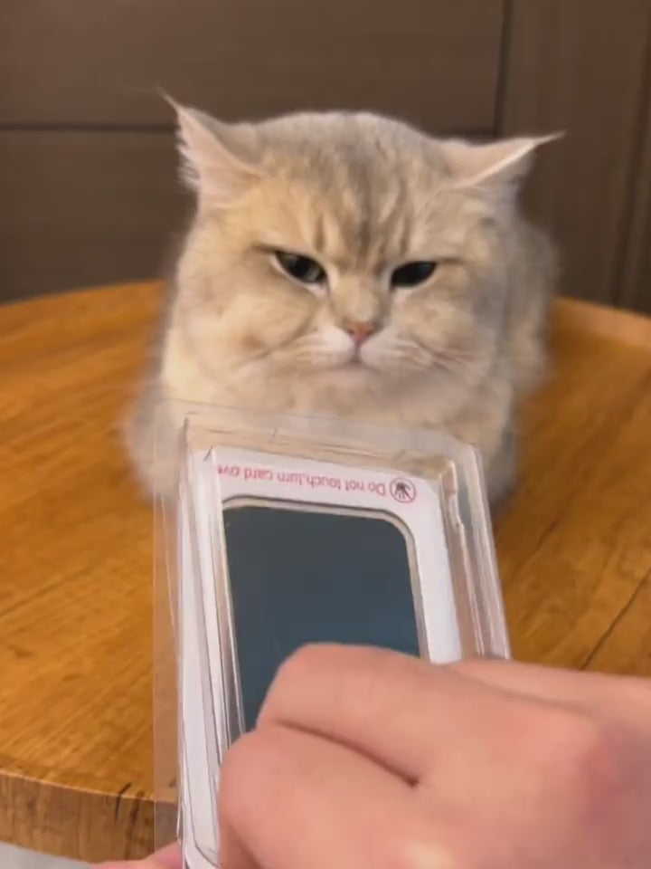 Guarde uma lembrança inesquecível do seu Petz! Kit de pegadas Impressas