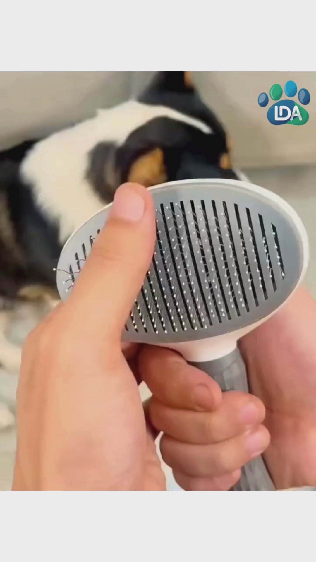 Escova Mágica para o Seu Pet