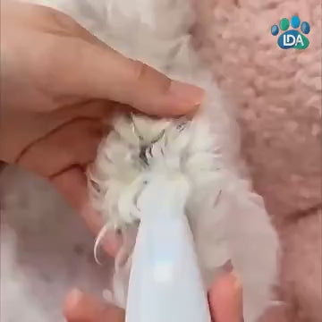 Aparador Elétrico Silencioso para Pelo de Pet