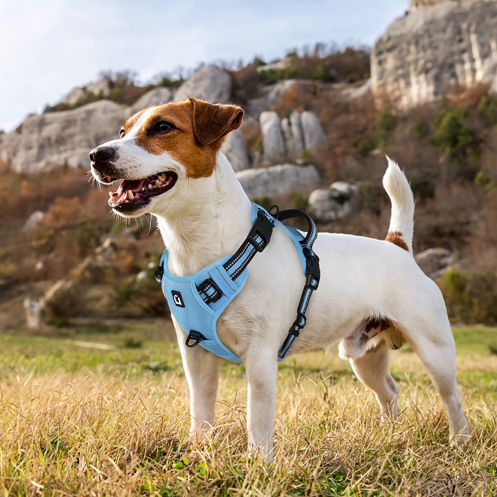 Peitoral Refletivo Antipuxada para Cães com Guia