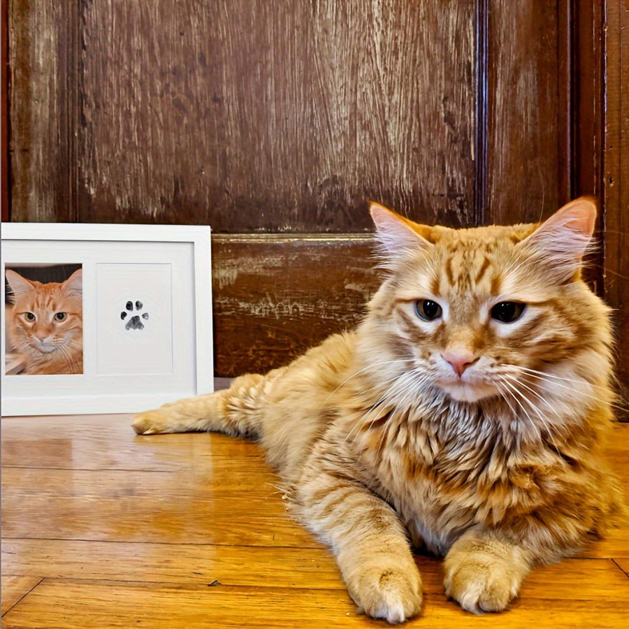 Kit de Moldagem de Patinha para Pets – Guarde uma Memória para Sempre